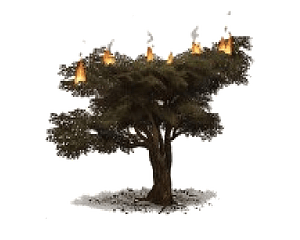 Dive In the Fire